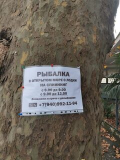 Чёрное море, Гагра: береговая ловля саргана и ставриды в ноябрьские волны и сильный ветер