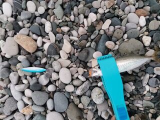 Чёрное море, Гагра: береговая ловля саргана и ставриды в ноябрьские волны и сильный ветер