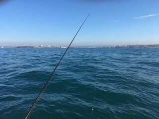 Последняя декабрьская рыбалка на Чёрном море: ставрида, окунь и луфарь