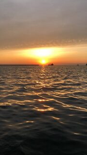 Севастопольская Артбухта на Чёрном море: вечерняя рыбалка со спиннингом