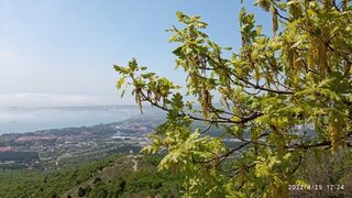 Чёрное море, Тонкий мыс: весенняя ловля смариды поплавком на холодной воде Геленджика
