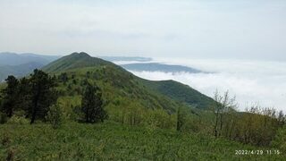 Чёрное море, Тонкий мыс: весенняя ловля смариды поплавком на холодной воде Геленджика