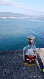 Чёрное море, Тонкий мыс: весенняя ловля смариды поплавком на холодной воде Геленджика