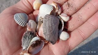 Чёрное море, Тонкий мыс: весенняя ловля смариды поплавком на холодной воде Геленджика