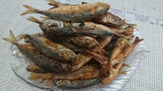 Чёрное море: ставрида и барабуля на тягу, мелочь с волнореза отпущена.