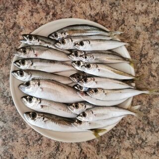 Новофёдоровка, Чёрное море: ставрида и морской дракон с пирса в спокойную погоду