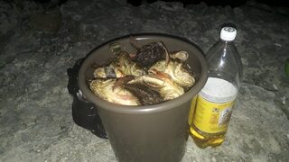 Чёрное море: береговая рыбалка за ершом на шпоре с короткой удочкой и джиг-головкой у буны