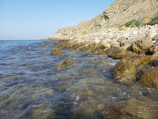 Рыбалка на Чёрном море: утренняя разведка каменистого мелководья с берега