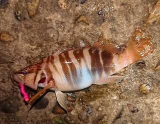 Вечерняя морская рыбалка на Чёрном море со спиннингом у спокойной воды