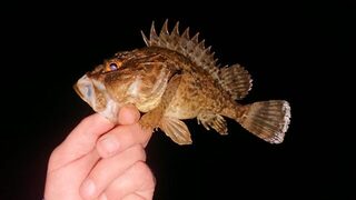 Вечерняя морская рыбалка на Чёрном море со спиннингом у спокойной воды
