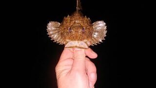 Вечерняя морская рыбалка на Чёрном море со спиннингом у спокойной воды