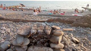 Сочи в августе: морская и речная рыбалка со спиннингом, ставкой и форелью