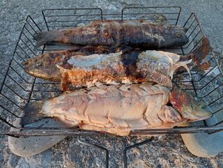 Сочи в августе: морская и речная рыбалка со спиннингом, ставкой и форелью