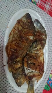 Рыбалка на Чёрном море с отводным: боковой ветер, скорпена и барабулька