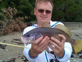 Чёрное море: рыбалка на горбыля, проверка приманок на одной точке выхода