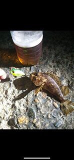 Чёрное море: спиннинг с плавающим кренком у дна по скорпене, горбылю и окуню