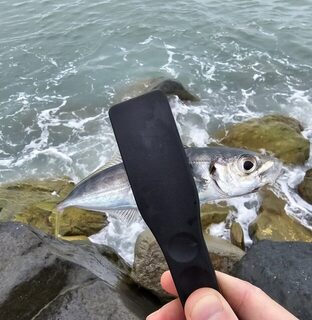 Рыбалка на Чёрном море: ставридка на выбросе после дождя и ерш со скорпеной
