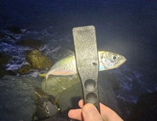 Ночная рыбалка на Чёрном море: ставридка на закате и попытка поймать скорпену