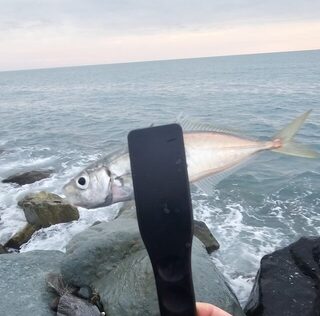 Ночная рыбалка на Чёрном море: ставридка на закате и попытка поймать скорпену
