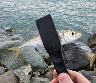 Ночная рыбалка на Чёрном море: ставридка на закате и попытка поймать скорпену