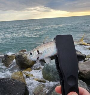 Ночная рыбалка на Чёрном море: ставридка на закате и попытка поймать скорпену