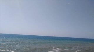 Рыбалка на Чёрном море: ловля саргана и луфаря у границы чистой и мутной воды