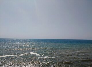 Рыбалка на Чёрном море: ловля саргана и луфаря у границы чистой и мутной воды