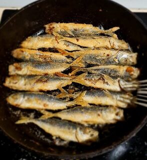 Ночная ловля ставриды на Чёрном море с бомбардами после майского заката