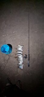 Ночная ловля крупной глазатки на джиг с зеленым силиконом в Черном море