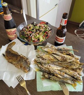 Ночная рыбалка. Чёрное море: ставрида на бомбарду, горбыль у камней ночью