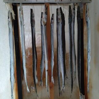 Чёрное море: ловля саргана на выбросе в прозрачной воде, пока подходов мало