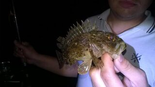 Первая рыбалка на Чёрном море: пять скорпен на фиолетового силиконового рачка