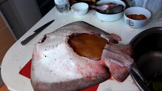 Форос, Крым и Чёрное море: ночная ловля морского кота дальним забросом