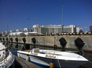 Адлер и Черное море: ловля с катера ставриды, кефали, саргана и горбыля