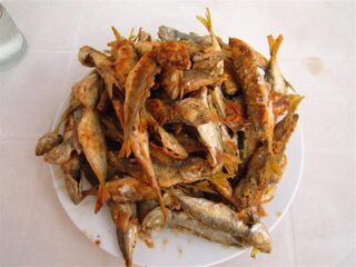 Морская рыбалка в Сочи: выход на катамаране в Чёрное море и ловля самодуром