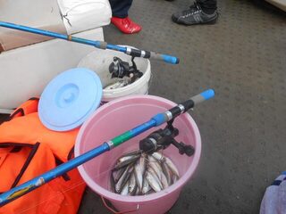 Рыбалка в Лоо на Чёрном море: первое знакомство с ловлей ставридки на глубине