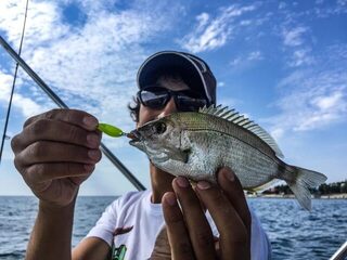 Чёрное море: морская рыбалка в заливе с лодки и берега на ласкиря и скорпену со спиннингом