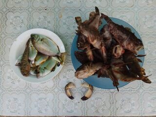 Ночная ловля горбыля и скорпены с пляжа в Новомихайловском на Чёрном море