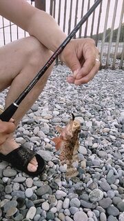Абхазия, Лдзаа, Чёрное море: первая вечерняя морская рыбалка береговым спиннингом с пляжа