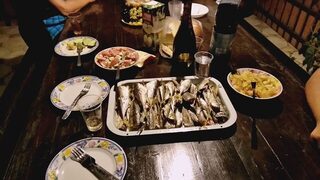 Лдзаа, Чёрное море: ночная ловля ставриды с берега на воблер и дропшот во время отдыха