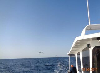 Дивноморское, Чёрное море: отпускная рыбалка на самодур и поплавочную удочку
