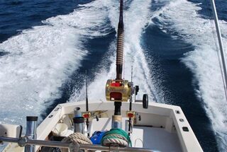 Хорватия, Адриатическое море: морская ловля синего тунца у острова Муртер