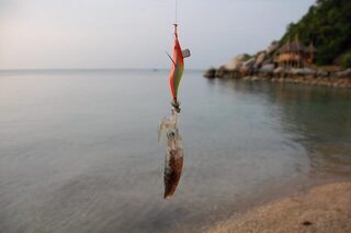Таиланд, остров Самуи: береговая рыбалка со скал, донки и ловля кальмара на северных отмелях