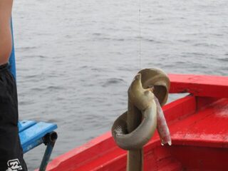 Таиланд, остров Ко Тао: морская рыбалка на лодке после погружений с аквалангом