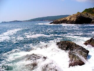 Бургас, мыс Коракя и порт: самодур, морские драконы, меджит и один лефар
