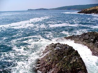 Бургас, мыс Коракя и порт: самодур, морские драконы, меджит и один лефар