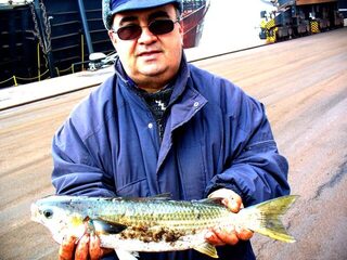 Болгария, Поморие и Порт Бургас: морская рыбалка за калканом и кефалью
