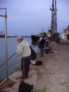 Морская рыбалка в Болгарии: Бургас, мыс Коракя и поиски лефера, ставриды, морского волка