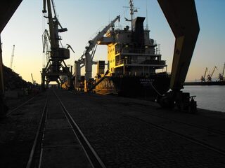 Бургасский залив: ранним утром искали морского судака на воблеры и блесны