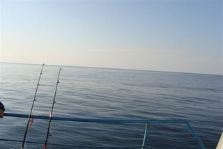 Калининград, Балтийское море: морская ловля трески в отвес и на тяжелый джиг